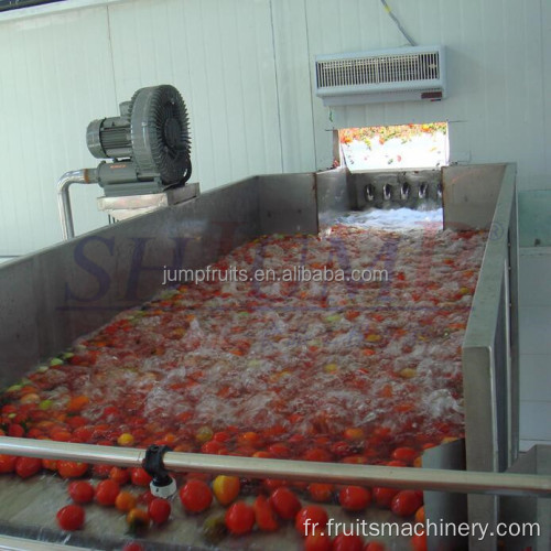 Machine de lavage et de séchage des fruits et légumes industriels